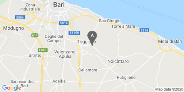 mappa Via Cesare Battisti, 269 - Triggiano (BA)  auto lungo termine a Bari