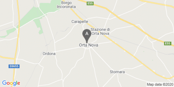 mappa Sp81 - Orta Nova (FG)  auto lungo termine a Foggia