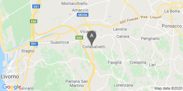 mappa Via Dell' Impresa, 31/33 - Collesalvetti (LI)  auto lungo termine a Livorno