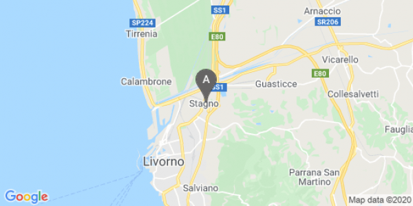 mappa Via Giovanni Verga - Collesalvetti (LI)  auto lungo termine a Livorno