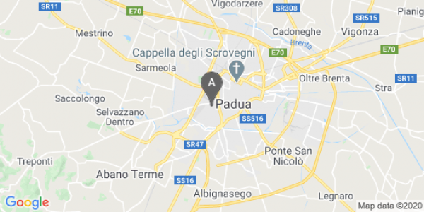 mappa 24, Vicolo Castelfidardo - Padova (PD)  bici  a Padova