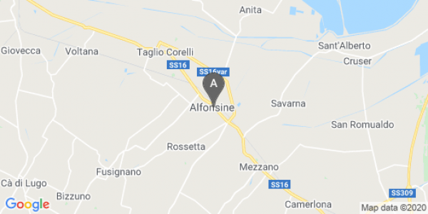 mappa Via Reale, 78 - Alfonsine (RA)  bici  a Ravenna