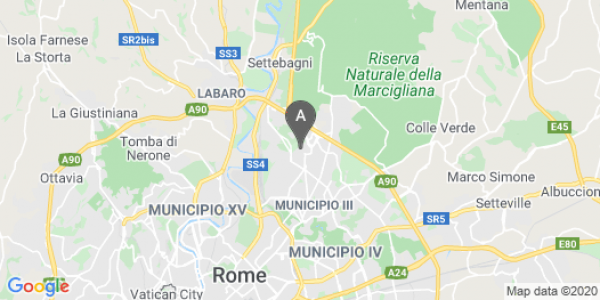 mappa Via Baseggio Cesco, 46/52 - Roma (RM)  auto lungo termine a Roma