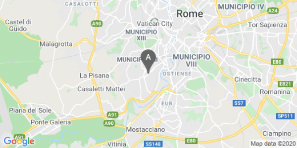 mappa Via Portuense, 564 - Roma (RM)  auto lungo termine a Roma
