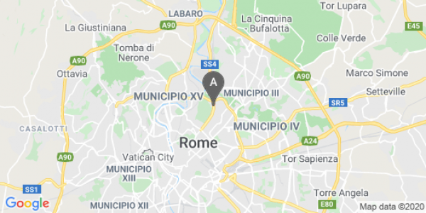 mappa Via Salaria, 413 - Roma (RM)  auto lungo termine a Roma