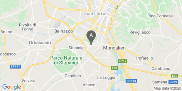 mappa 150, Via Venticinque Aprile - Nichelino (TO)  auto lungo termine a Torino