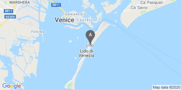mappa 161/C, Via Gallo Sandro - Lido Di Venezia (VE)  bici  a Venezia