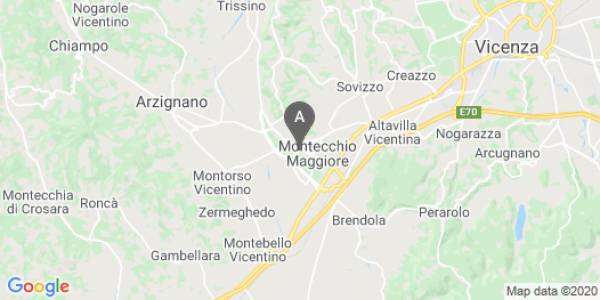 mappa 44, Viale Europa - Montecchio Maggiore (VI)  bici  a Vicenza